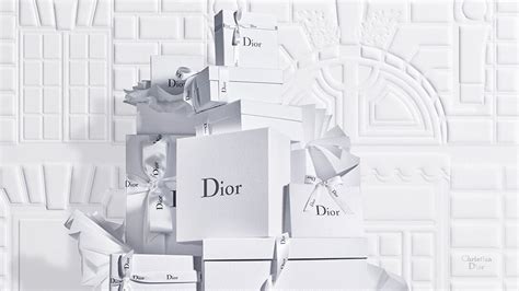 christian dior online store|christian dior official website.